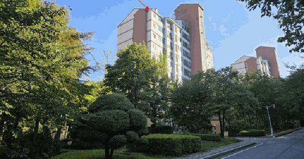 경기도 용인시 기흥구 보정동 911-10 대림아파트 109동 502호 미지정 경매 물건 이미지