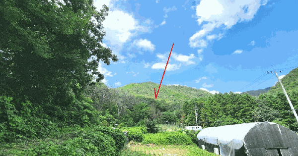 경기도 광주시 퇴촌면 관음리 산19  미지정 경매 물건 이미지