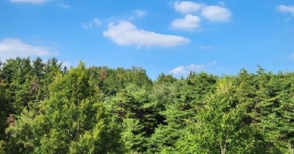 경상북도 영천시 화북면 자천리 1159  미지정 경매 물건 이미지