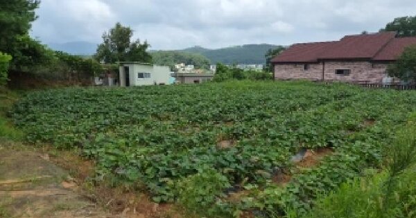 인천광역시 강화군 선원면 지산리 94-12  미지정 경매 물건 이미지