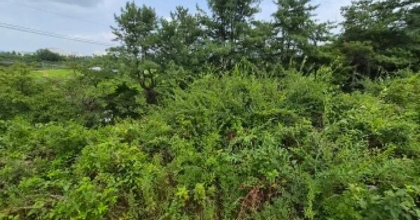 세종특별자치시  금남면 성덕리 433  미지정 경매 물건 이미지