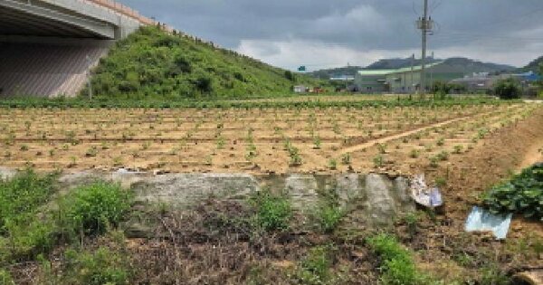 충청남도 아산시 인주면 모원리 120  미지정 경매 물건 이미지