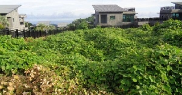 제주특별자치도 제주시 애월읍 광령리 2815-5  미지정 경매 물건 이미지