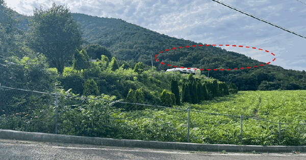 경상남도 하동군 진교면 술상리 산28-5  미지정 경매 물건 이미지