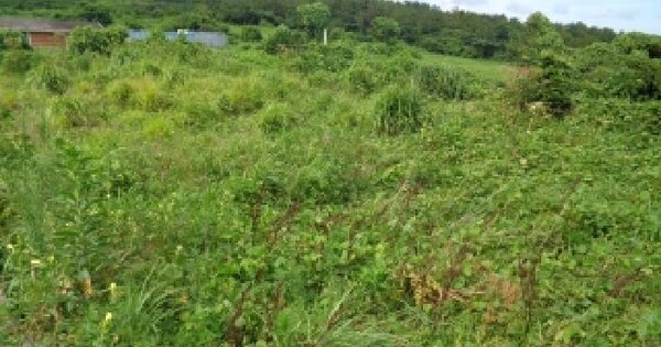 제주특별자치도 제주시 애월읍 봉성리 334-8  미지정 경매 물건 이미지