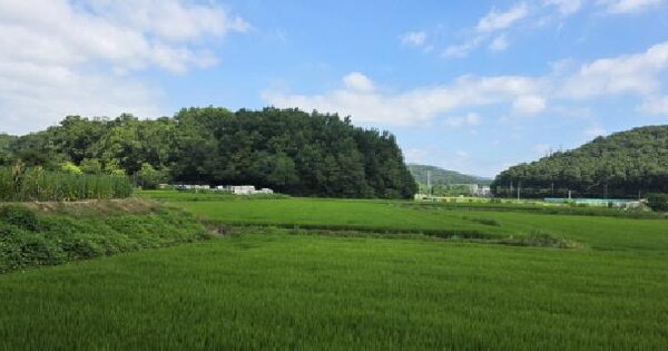 경상북도 구미시 산동읍 적림리 338-1  미지정 경매 물건 이미지