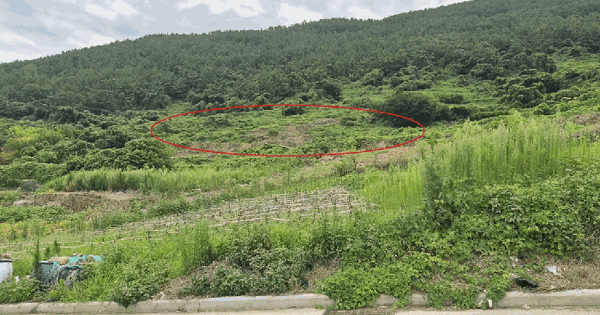 경상남도 남해군 남면 선구리 282-1  미지정 경매 물건 이미지