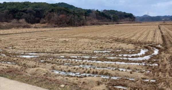 충청남도 당진시 석문면 삼봉리 698-4 대지 경매 물건 이미지