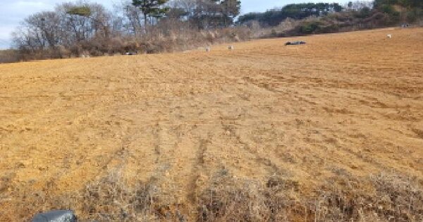 충청남도 당진시 석문면 통정리 938-15 답 경매 물건 이미지
