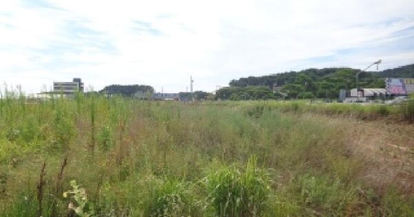 충청남도 태안군 안면읍 승언리 3114-2 잡종지 경매 물건 이미지