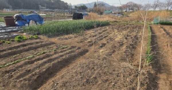 전남광주통합특별시 순천시 대룡동 287 전 경매 물건 이미지