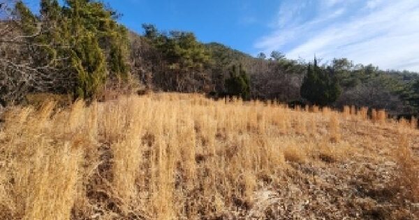 전남광주통합특별시 곡성군 삼기면 원등리 621-3 전 경매 물건 이미지