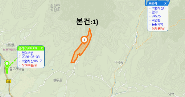 경상북도 봉화군 춘양면 석현리 산29  미지정 경매 물건 이미지