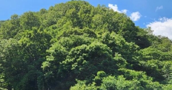 경상북도 영천시 화남면 용계리 405  미지정 경매 물건 이미지