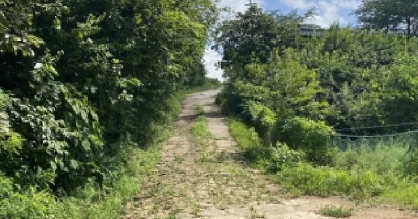 충청남도 당진시 석문면 초락도리 452-1  미지정 경매 물건 이미지