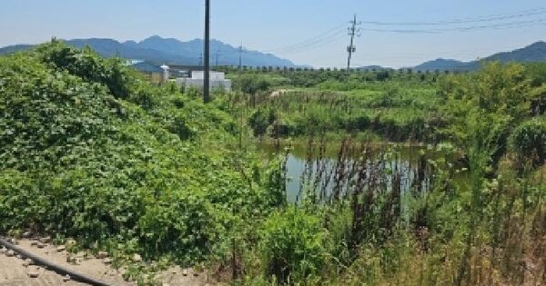 전남광주통합특별시 해남군 현산면 황산리 392-1  미지정 경매 물건 이미지