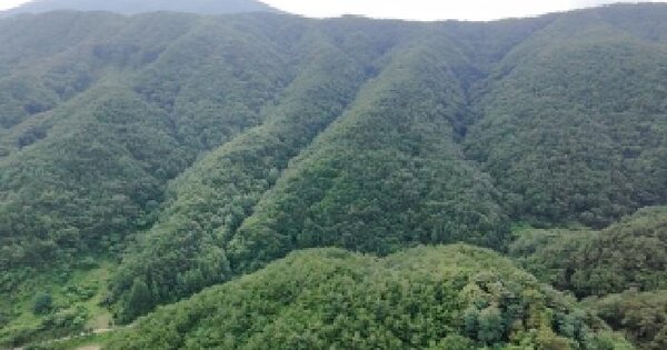 경상남도 거창군 남상면 둔동리 산22  미지정 경매 물건 이미지