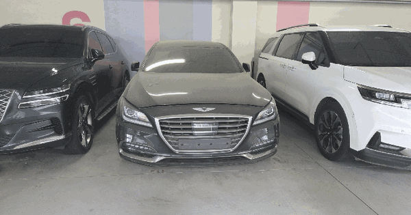 G80 등록번호 : 253구3761 미지정 경매 물건 이미지