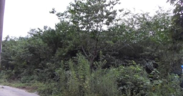 경상북도 경산시 와촌면 음양리 195-1  미지정 경매 물건 이미지