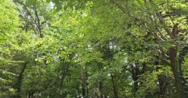 경기도 파주시 문산읍 당동리 136-18  미지정 경매 물건 이미지