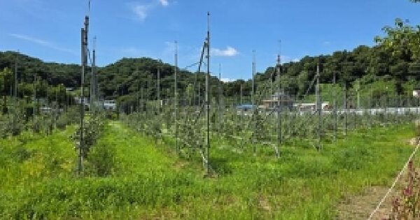 충청남도 예산군 응봉면 후사리 195-1  미지정 경매 물건 이미지