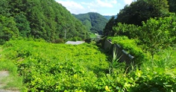 강원특별자치도 홍천군 서면 대곡리 943-15  미지정 경매 물건 이미지