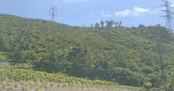 강원특별자치도 강릉시 성산면 어흘리 산200-1  미지정 경매 물건 이미지