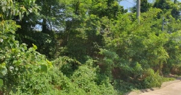 전북특별자치도 군산시 옥도면 개야도리 450  미지정 경매 물건 이미지