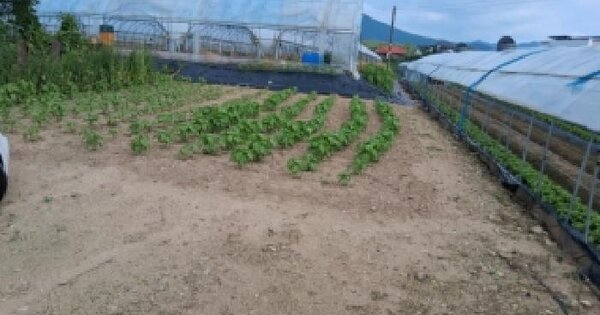 강원특별자치도 춘천시 신북읍 산천리 739-4  미지정 경매 물건 이미지