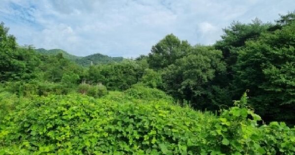 전북특별자치도 남원시 보절면 진기리 82  미지정 경매 물건 이미지