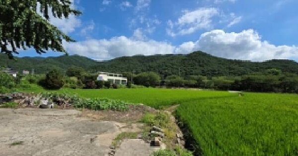 충청남도 예산군 덕산면 옥계리 521-3  미지정 경매 물건 이미지