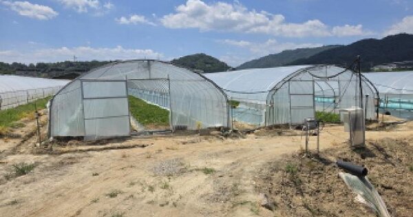 경상북도 성주군 선남면 관화리 799  미지정 경매 물건 이미지