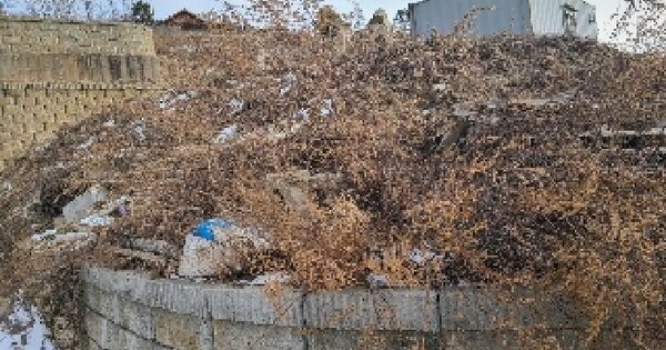 경기도 양평군 강하면 전수리 산108-2 임야 경매 물건 이미지
