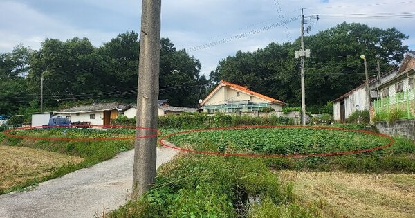 경기도 여주시 가남읍 화평리 123 대지 경매 물건 이미지