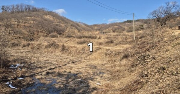 경기도 양평군 양동면 삼산리 233 답 경매 물건 이미지