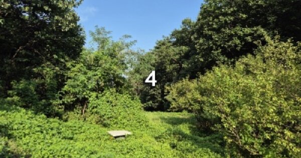 경기도 여주시 흥천면 문장리 414 답 경매 물건 이미지