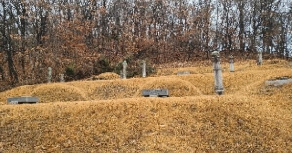 경기도 여주시 대신면 후포리 산115 임야 경매 물건 이미지