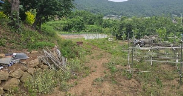 울산광역시 울주군 웅촌면 은현리 780-1 답 경매 물건 이미지