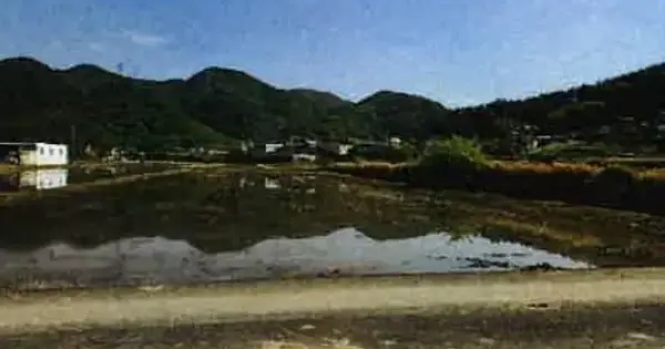 울산광역시 울주군 웅촌면 석천리 361-2 답 경매 물건 이미지