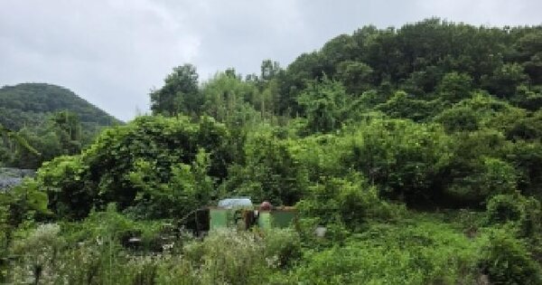 경상남도 함안군 군북면 원북리 321  미지정 경매 물건 이미지