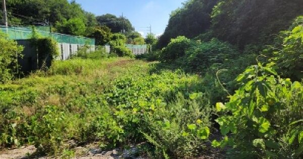경기도 가평군 청평면 청평리 273-1  미지정 경매 물건 이미지