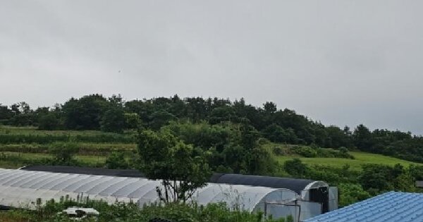 전라남도 해남군 황산면 송호리 산121-2  미지정 경매 물건 이미지