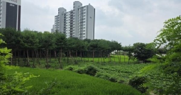 경기도 고양시 일산서구 덕이동 664-1  미지정 경매 물건 이미지