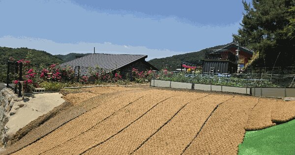 경기도 가평군 청평면 대성리 361-119 전 경매 물건 이미지