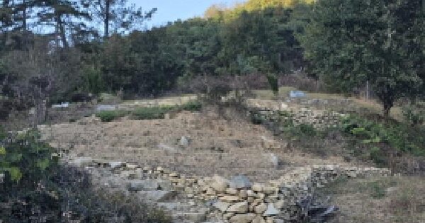 경상북도 성주군 금수강산면 어은리 산137-7 임야 경매 물건 이미지