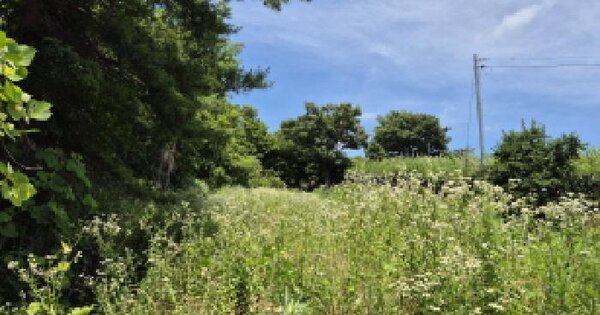 울산광역시 울주군 서생면 화산리 288-58 임야 경매 물건 이미지