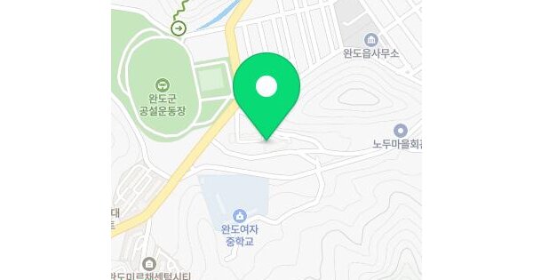 전남광주통합특별시 완도군 완도읍 군내리 1135 화인스톤빌리지 102동 401호 미지정 경매 물건 이미지