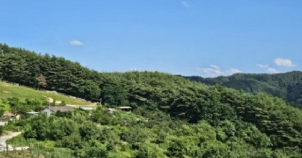 경상북도 봉화군 춘양면 학산리 404  미지정 경매 물건 이미지