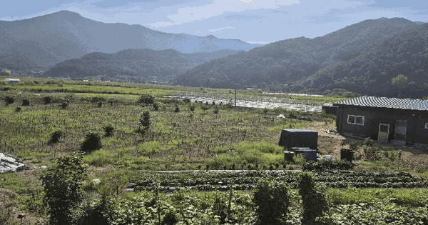 경상남도 밀양시 삼랑진읍 검세리 173  미지정 경매 물건 이미지