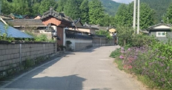 충청북도 보은군 장안면 장재리 46-4  미지정 경매 물건 이미지